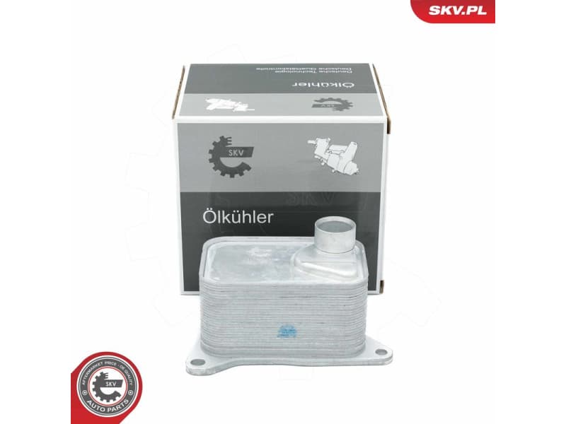Oil Cooler, engine oil 31SKV214