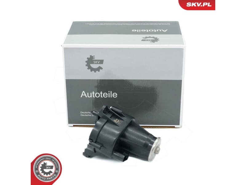 Control, swirl flaps (induction pipe) 96SKV239