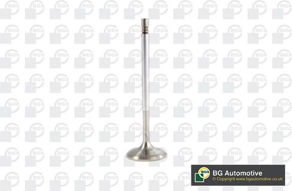 Intake Valve V561127