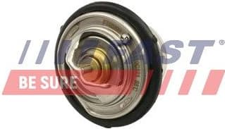 Thermostat, coolant FT58200