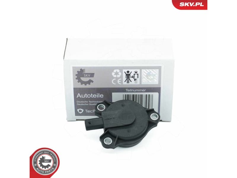 Central Magnet, camshaft adjustment 39SKV903