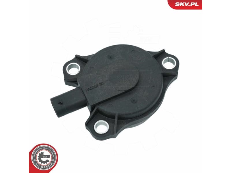 Central Magnet, camshaft adjustment 39SKV903 - image 2