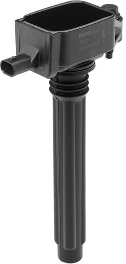 ZS604 (BorgWarner (BERU))