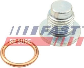 Screw Plug, automatic transmission casing FT49502