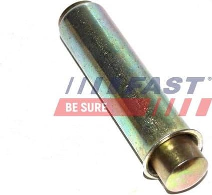 Vibration Damper, timing belt FT44081