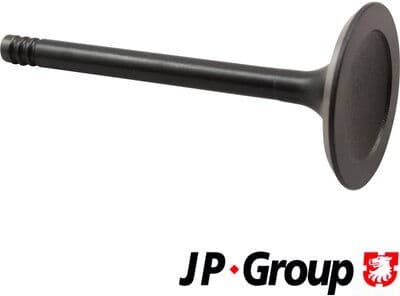 Intake Valve JP 1111303500