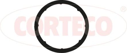 Gasket, intake manifold 450221H