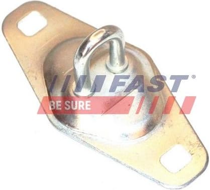 Strike Plate, rear door lock FT95462