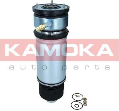 Air Spring, suspension 2079019