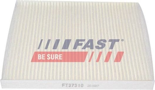 Filter, cabin air FT37310