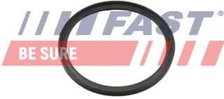 Seal Ring, charge air hose FT49857