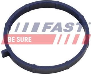 Gasket, intake manifold FT49467