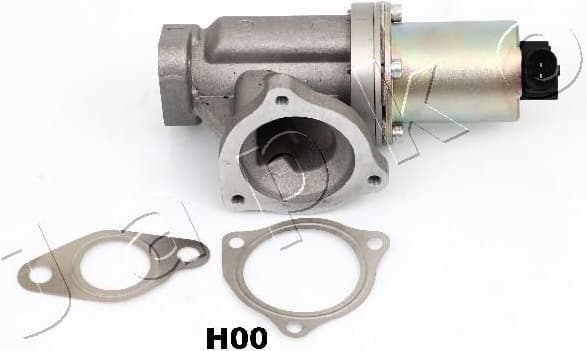 EGR Valve 150H00