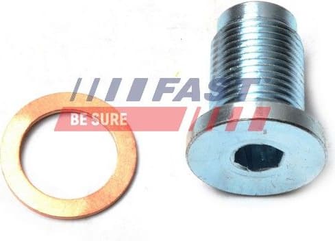 Screw Plug, automatic transmission casing FT94714