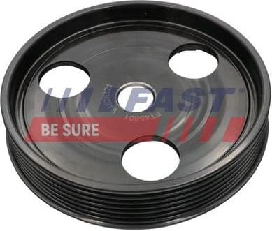 Belt Pulley, power steering pump FT45801