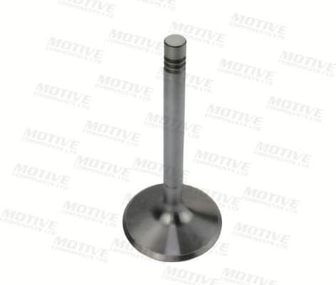 Intake Valve IV10020 - image 3