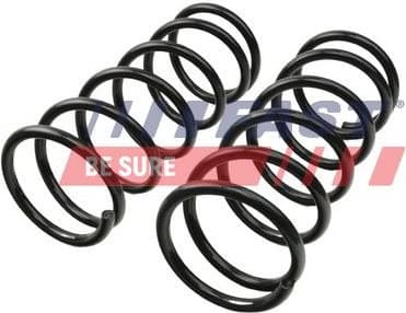 Suspension Set, springs FT12269K - image 2