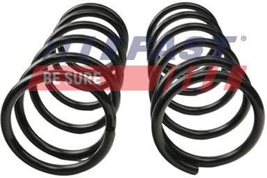 Suspension Set, springs FT12269K - image 3