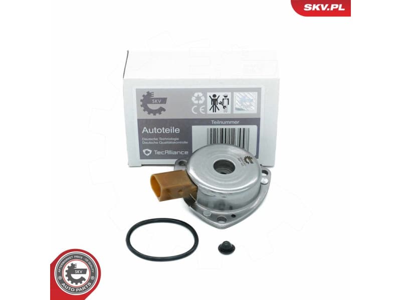 Central Magnet, camshaft adjustment 39SKV901