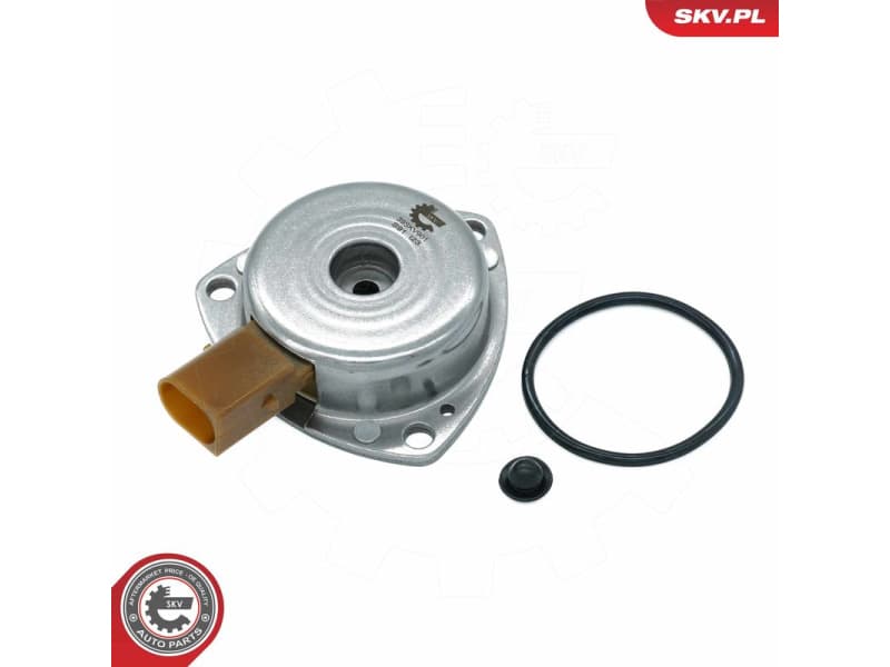 Central Magnet, camshaft adjustment 39SKV901 - image 2