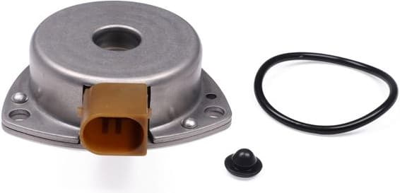 Central Magnet, camshaft adjustment 21-5098