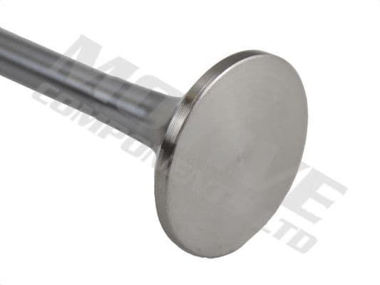 Exhaust Valve EV10003 - image 2