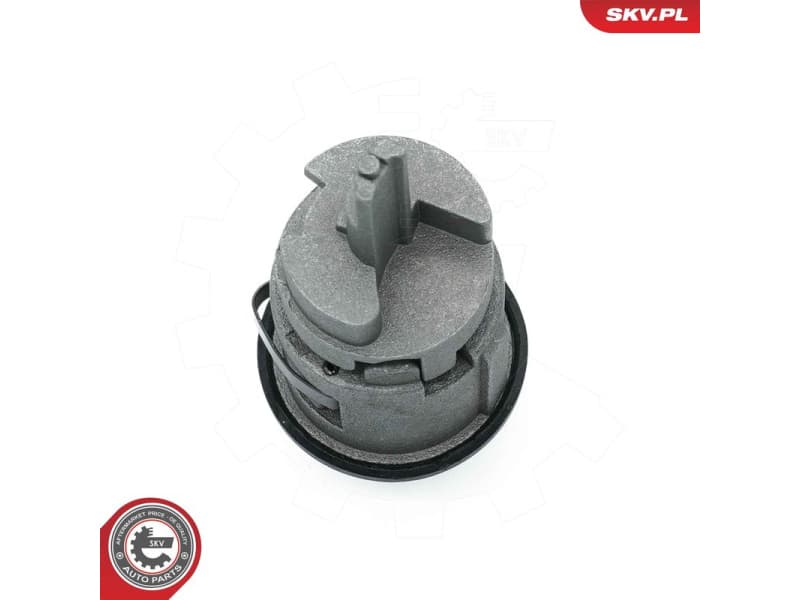 Lock Cylinder, ignition lock 65SKV508 - image 4