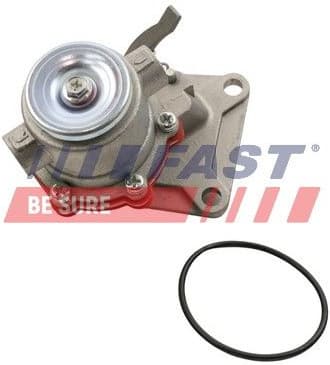 Fuel Pump FT53025