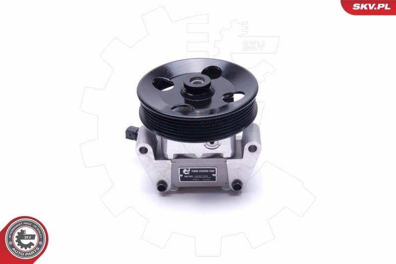 Hydraulic Pump, steering 10SKV306