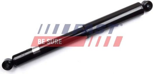 Shock Absorber FT11313