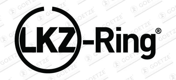 Piston Ring Set Goetze Diamond Coated® LKZ-Ring® 08-450600-00 - image 3