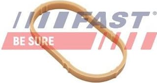 Gasket, intake manifold FT49461