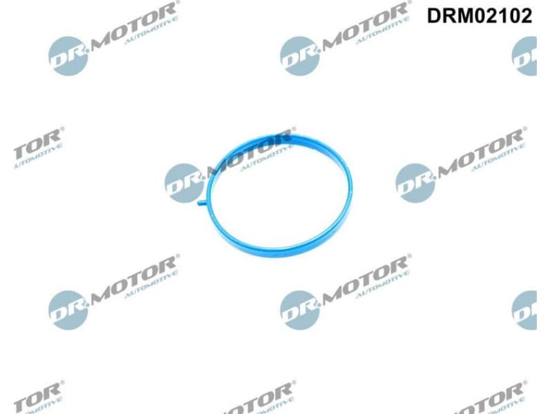 Gasket, intake manifold DRM02102