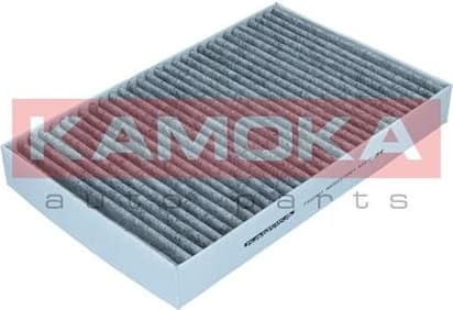 Filter, cabin air F520601