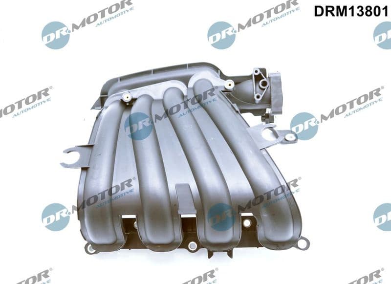 Intake Manifold Module DRM13801