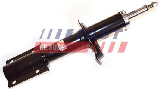 Shock Absorber FT11305