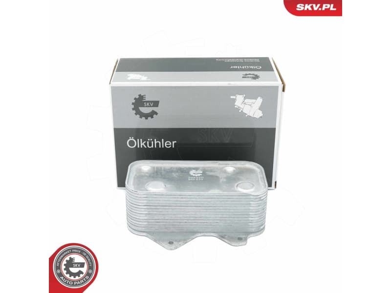 Oil Cooler, engine oil 31SKV211