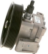 Hydraulic Pump, steering K S00 000 148