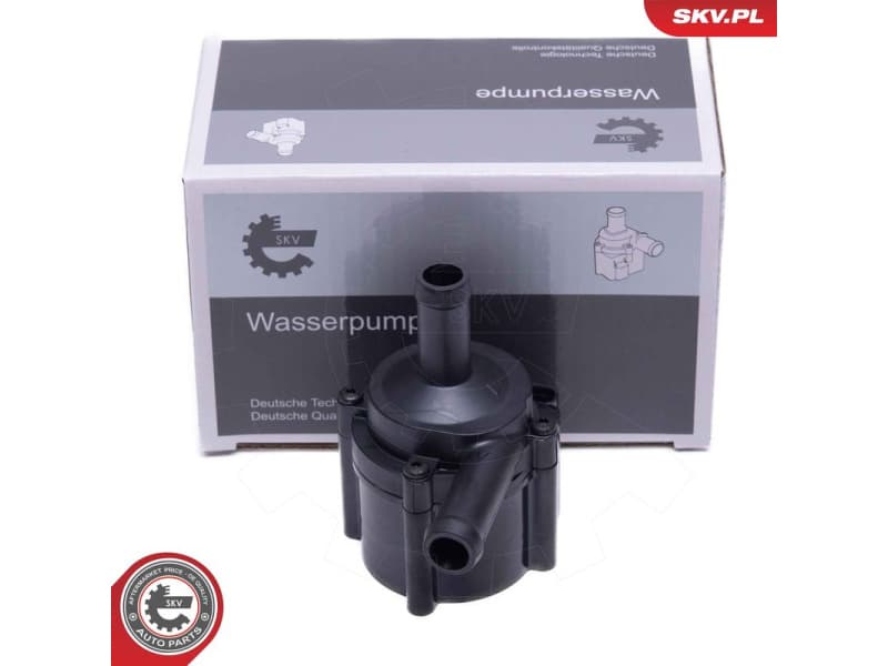 Auxiliary Water Pump (cooling water circuit) 22SKV067