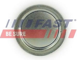 Screw Plug, crankcase FT49308