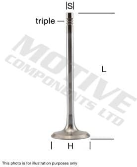 Intake Valve IV5542