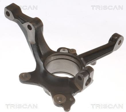 Steering Knuckle, wheel suspension 8500 29718