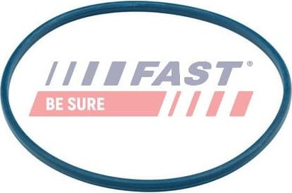 Seal, fuel tank cap FT48504