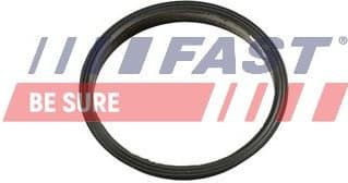 Gasket, vacuum pump FT49853