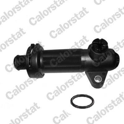 Thermostat EGR TH6957.70J