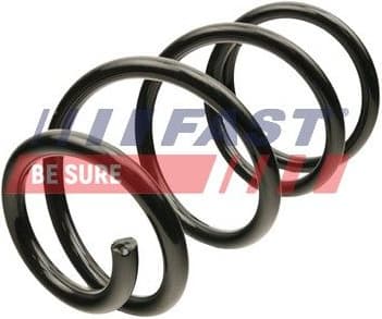 Suspension Spring FT12291