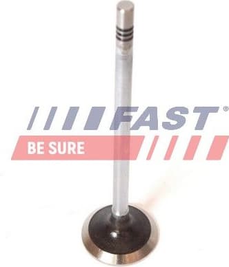 Exhaust Valve FT50068