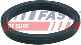 Gasket, intake manifold FT49407