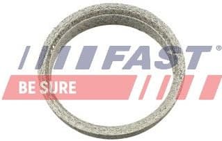 Seal Ring, exhaust pipe FT84823 - image 2