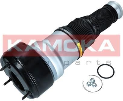 Air Spring, suspension 2079038